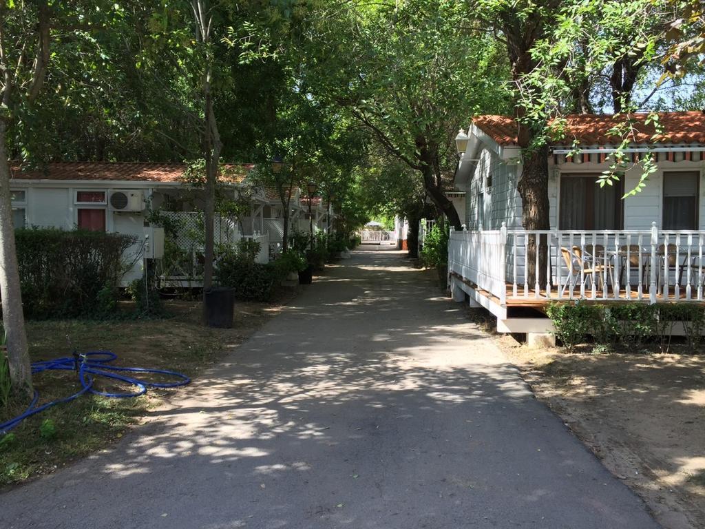 Bungalows & Albergue La Playa Логроньо Екстериор снимка