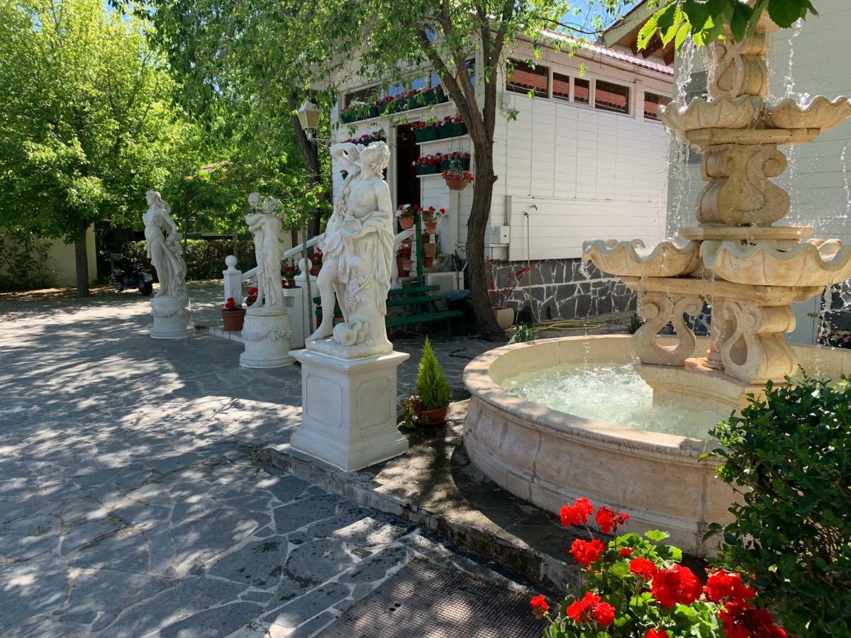 Bungalows & Albergue La Playa Логроньо Екстериор снимка