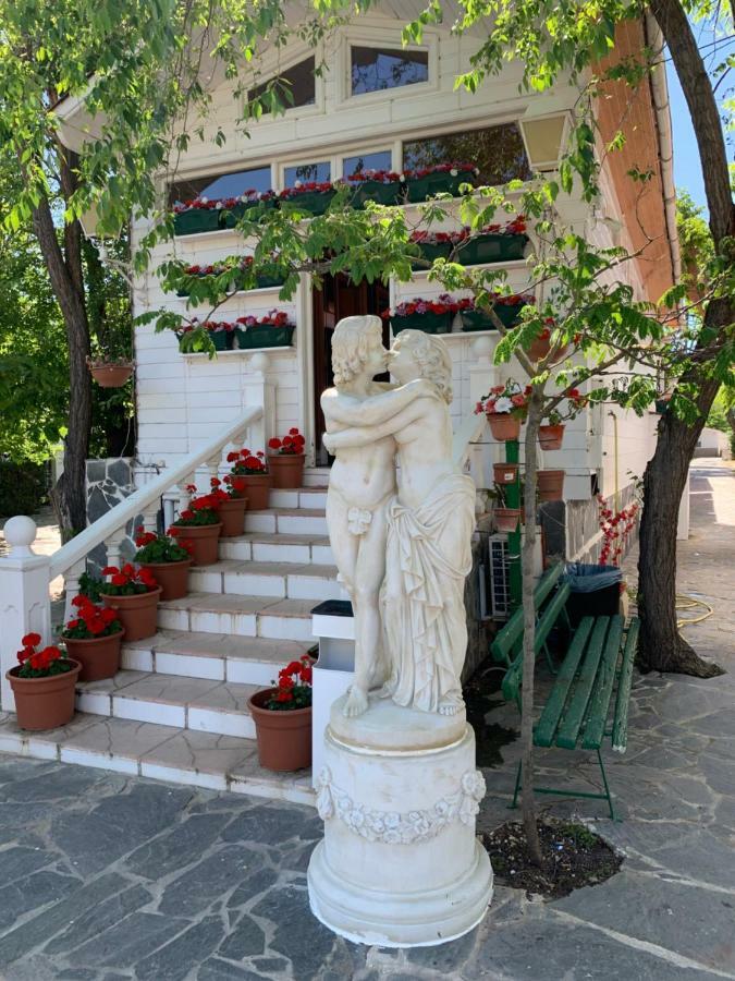 Bungalows & Albergue La Playa Логроньо Екстериор снимка